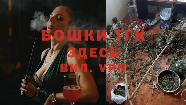 МДПВ Бронницы