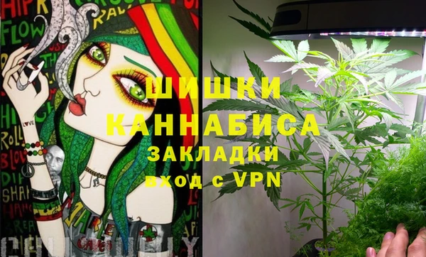МДПВ Бронницы