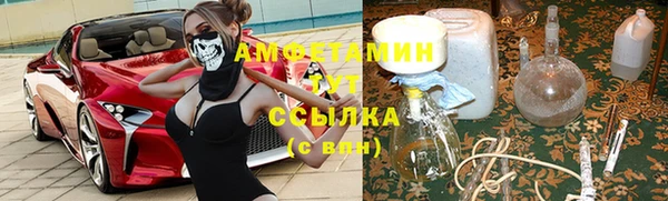 сатива Бугульма
