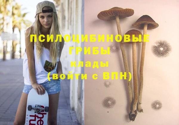 сатива Бугульма